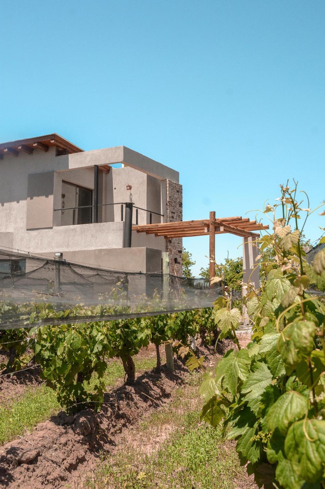 Agrelo Vines Lodge エクステリア 写真