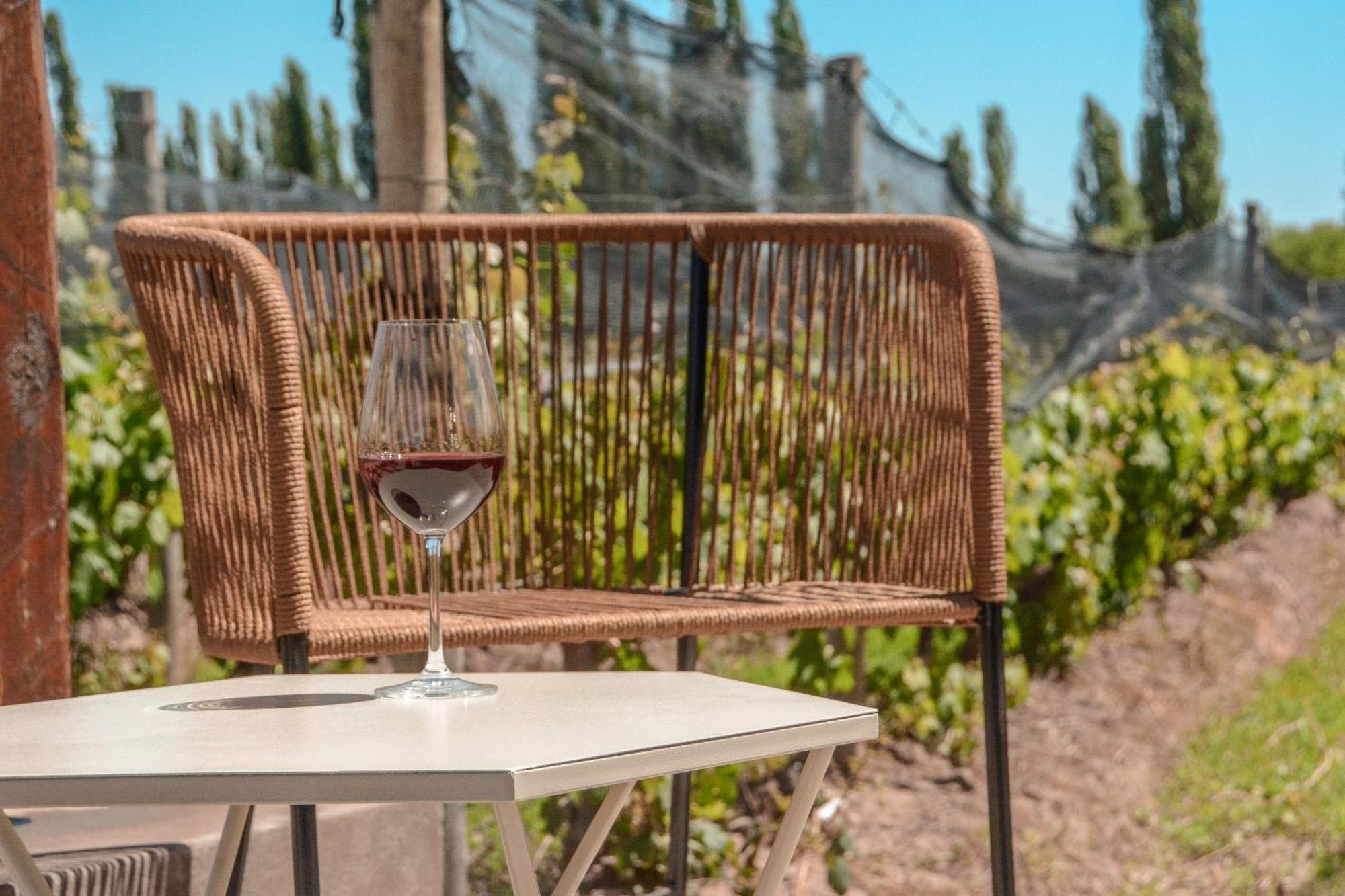 Agrelo Vines Lodge エクステリア 写真