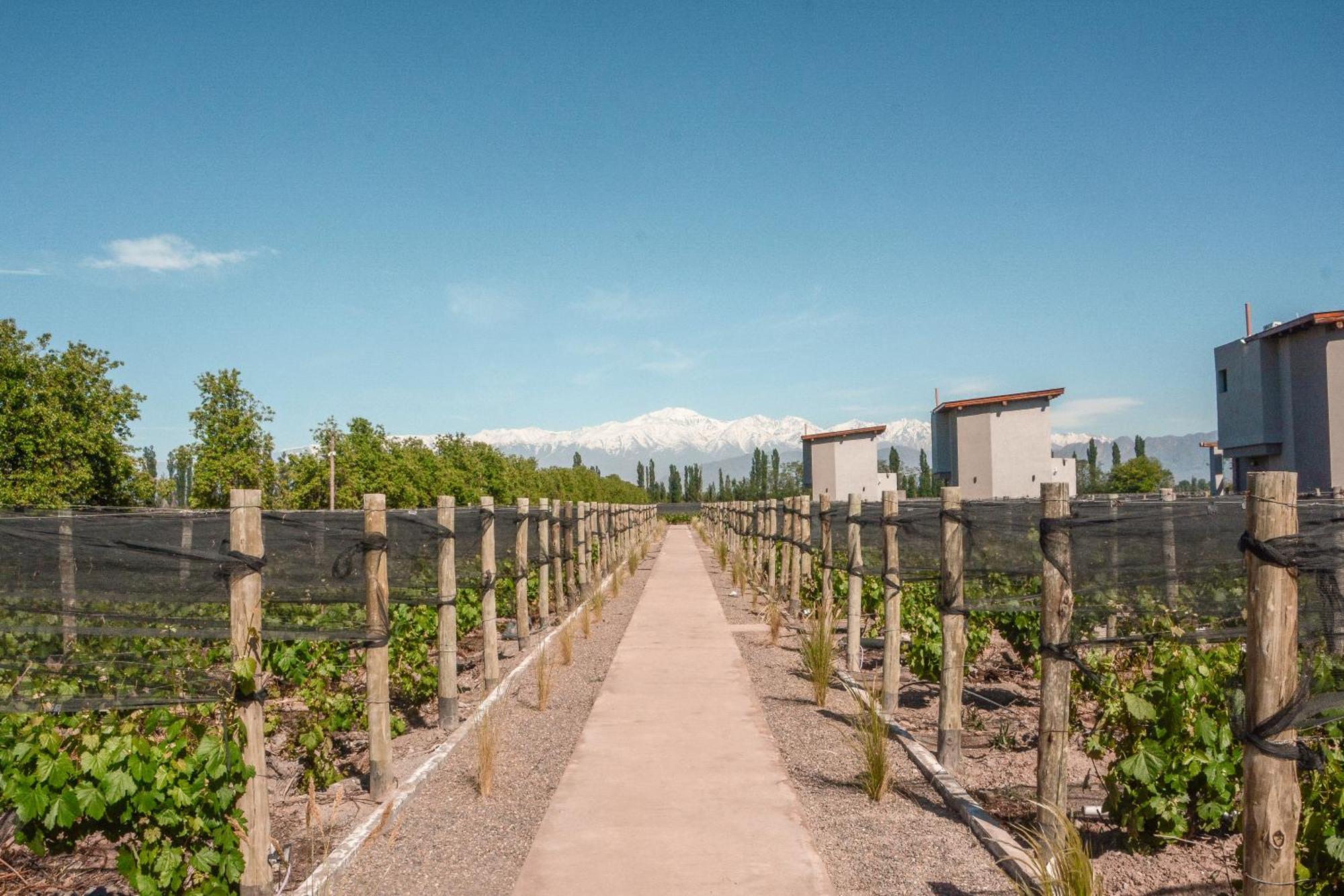 Agrelo Vines Lodge エクステリア 写真