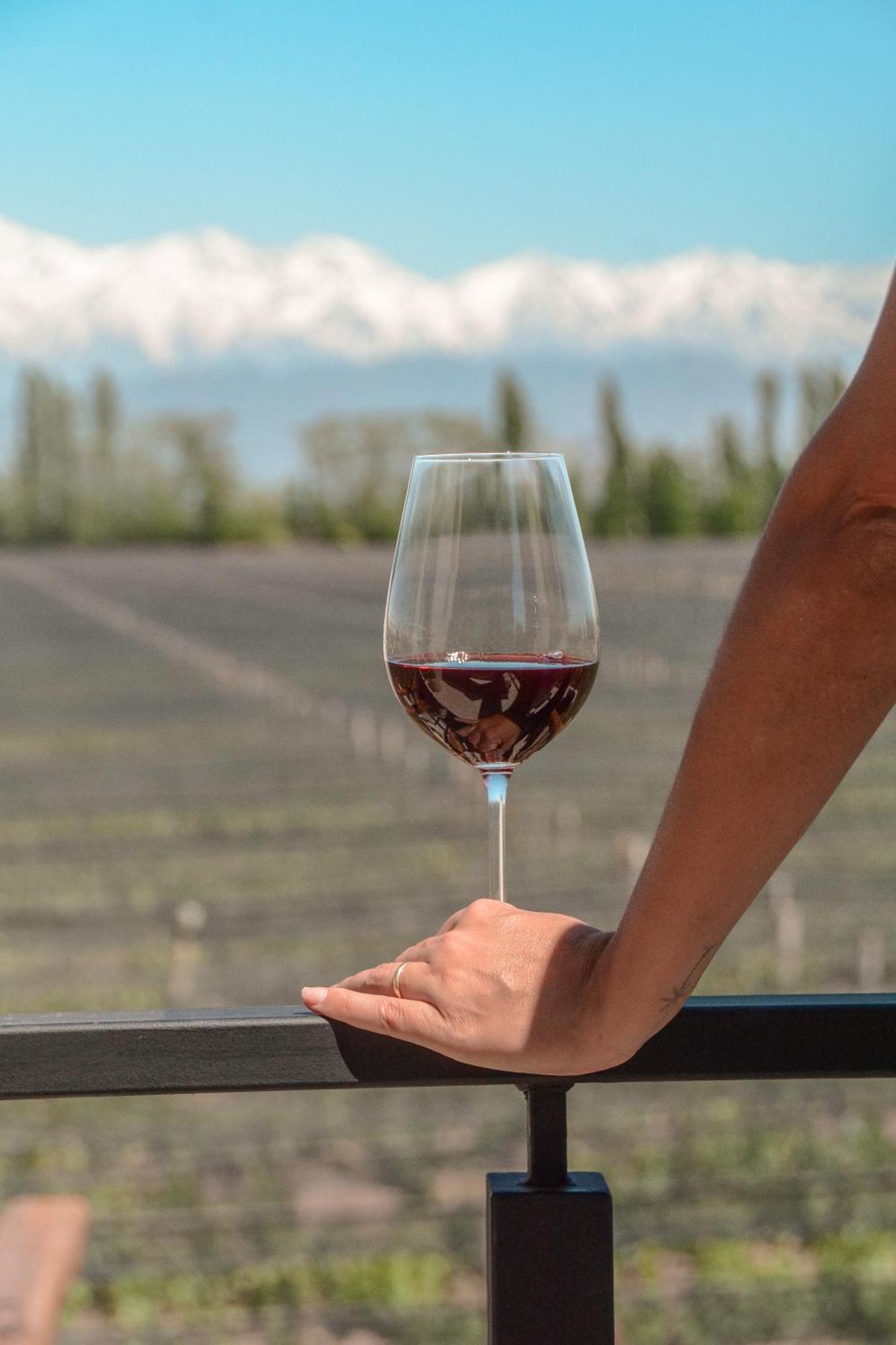 Agrelo Vines Lodge エクステリア 写真