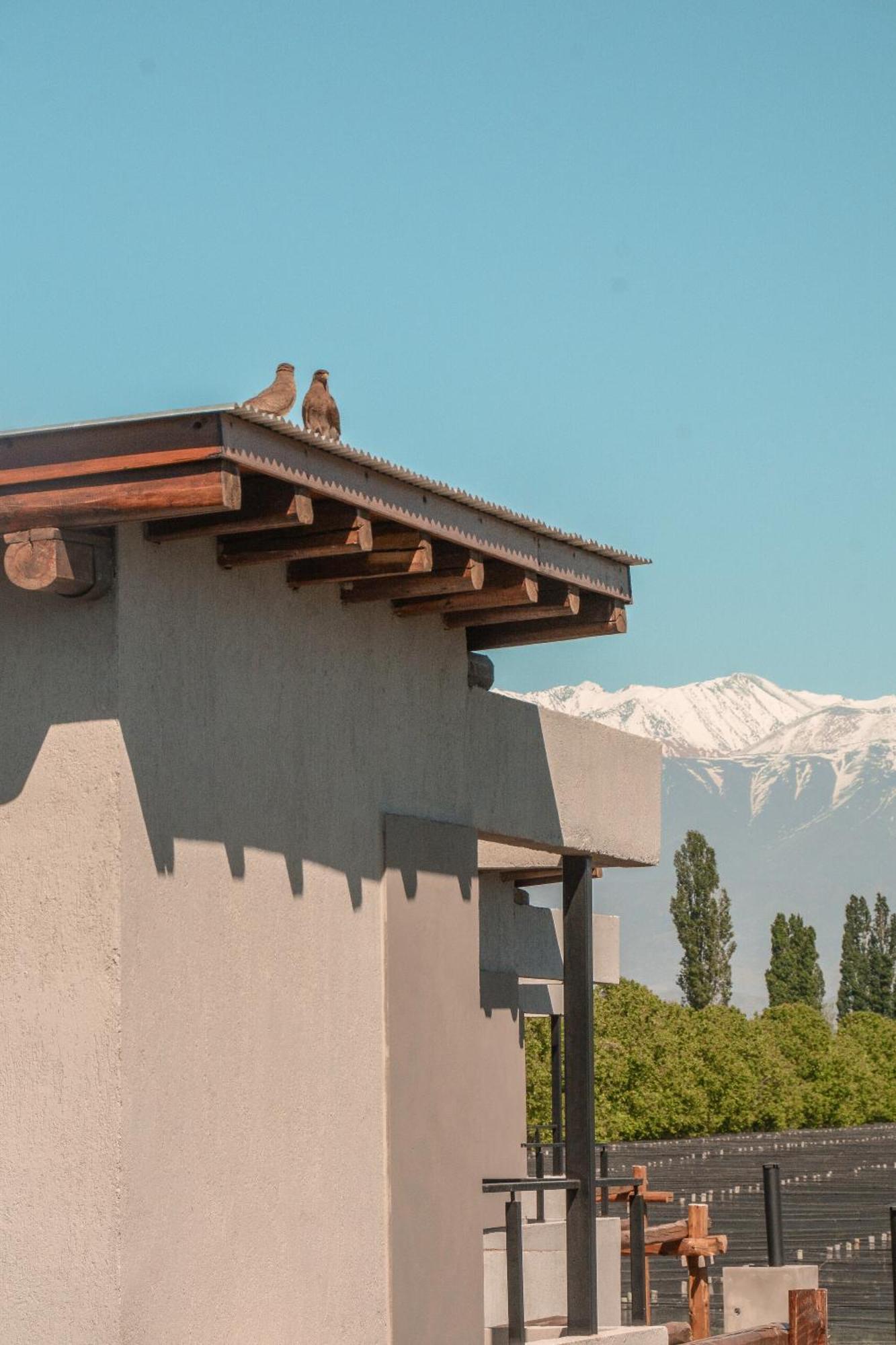Agrelo Vines Lodge エクステリア 写真