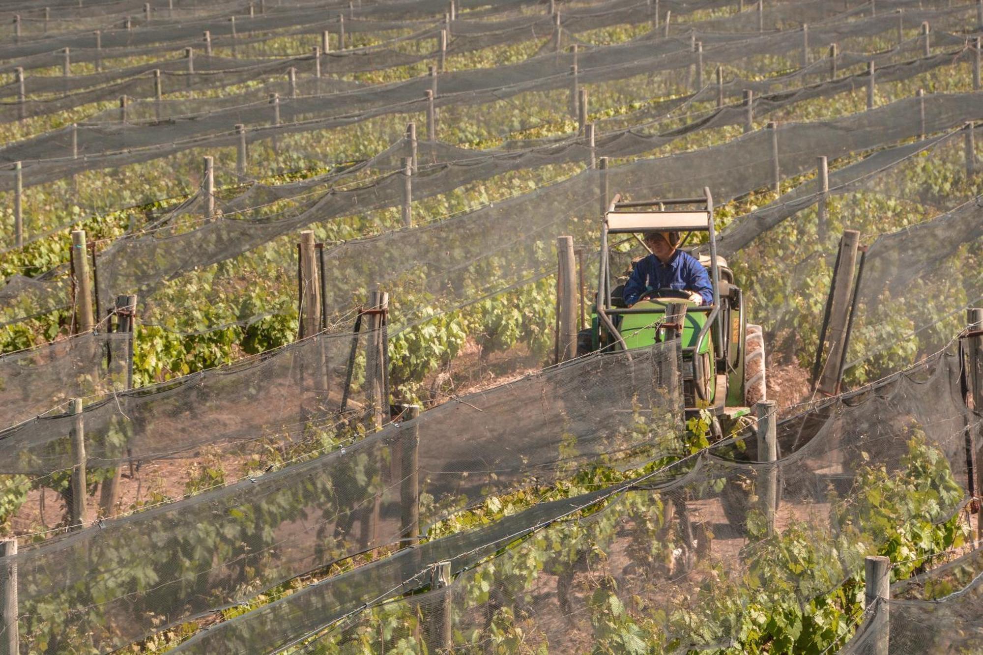 Agrelo Vines Lodge エクステリア 写真